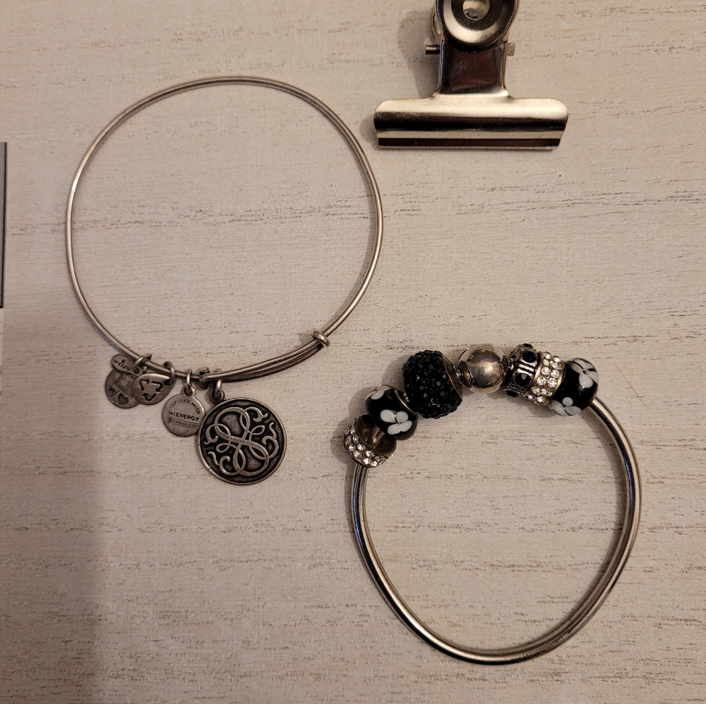 Alex & Ani 2014 Energy Infused Path of Life Bracel - Picture 2 of 13